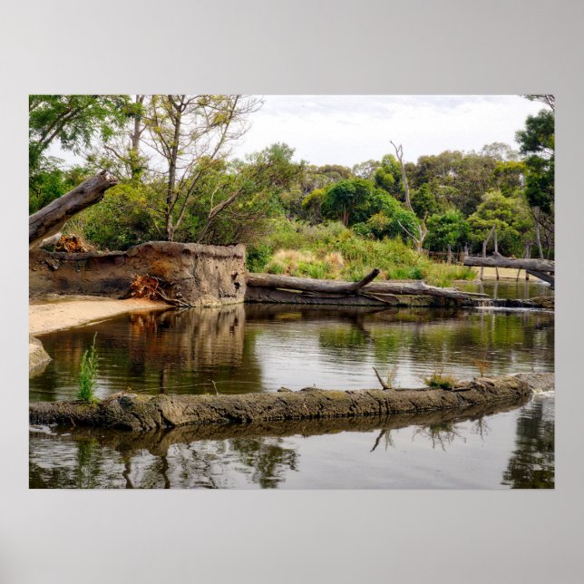 Riverbank Landscape Reflections Lush Greenery Poster (Front)