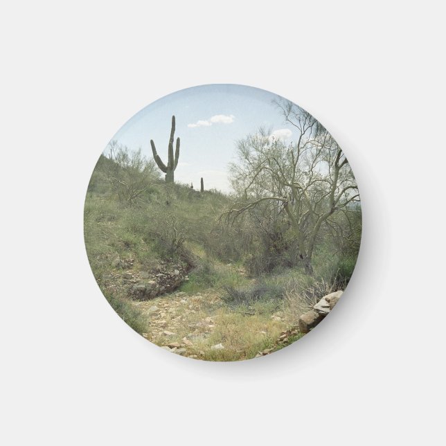 Riverbed Remembrance Desert Refrigerator Magnet (Front)