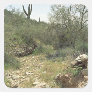 Riverbed Sonoran Desert Custom Sticker Decals