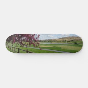 Rivercut In Spring Skateboard