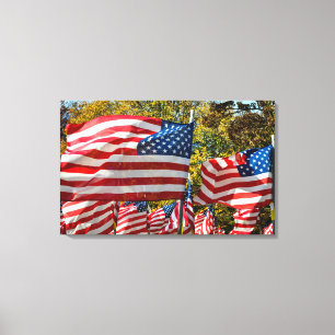 Riverdale, New York, USA. Wine country Canvas Print