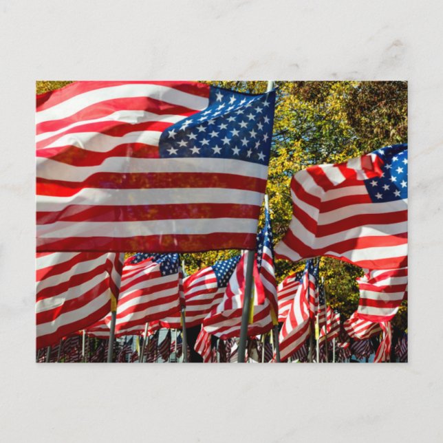 Riverdale, New York, USA. Wine country Postcard (Front)