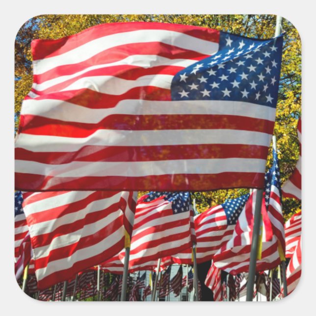 Riverdale, New York, USA. Wine country Square Sticker (Front)