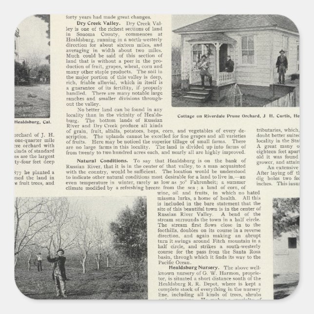 Riverdale Prune Orchard, California Square Sticker (Front)