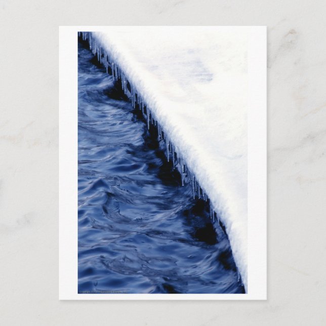 River's Edge Postcard (Front)