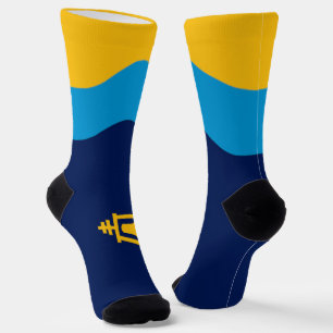 Riverside (California) city flag Socks