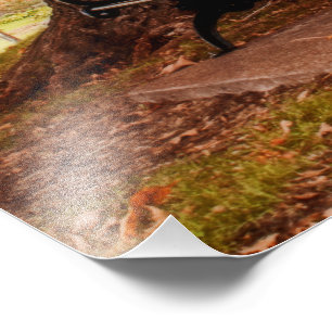 Riverside Park Benches Photo Print