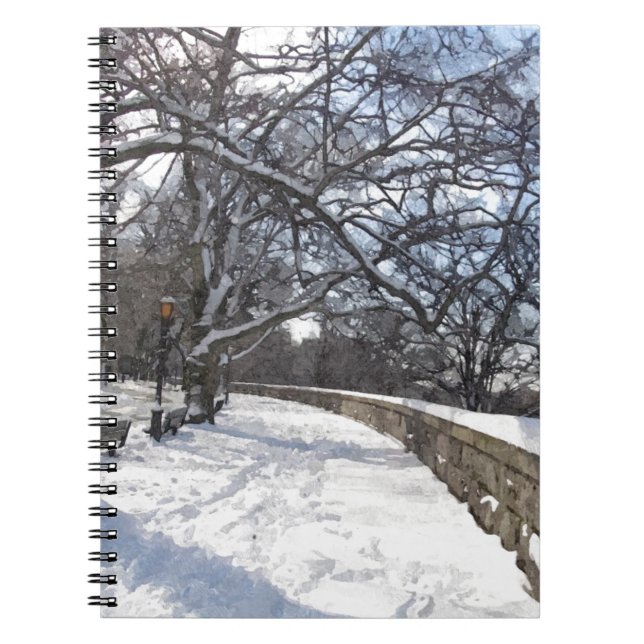  RIVERSIDE PARK IN WINTER NOTEBOOK (Front)