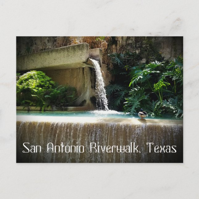 Riverwalk Postcard (Front)