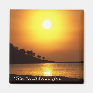 Riviera Maya Cancun Mexico Caribbean Sea Magnet