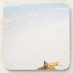 Riviera Maya Coaster