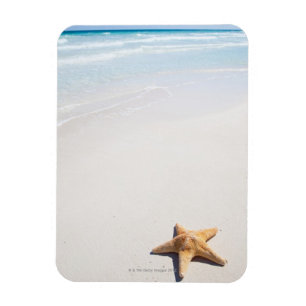 Riviera Maya Magnet