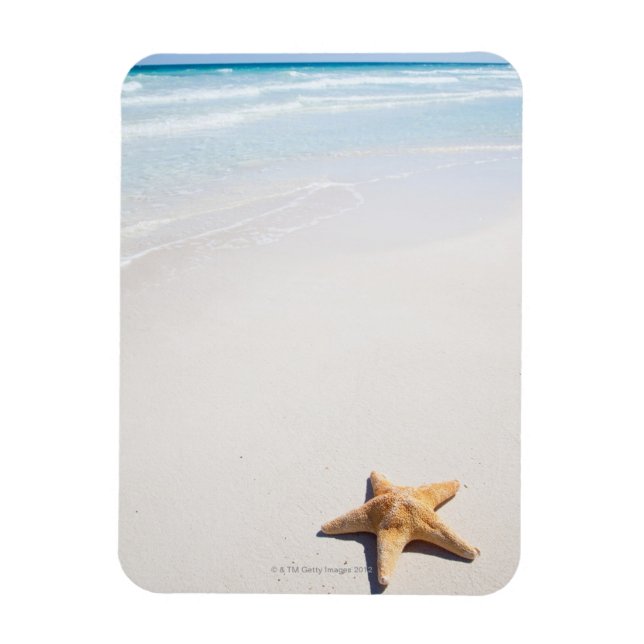Riviera Maya Magnet (Vertical)