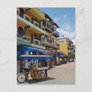 Riviera Maya (Playa del Carmen) Postcard