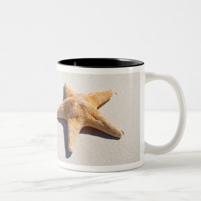 Riviera Maya Two-Tone Coffee Mug (Right)