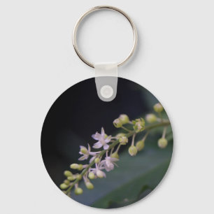 Rivina humilis key ring