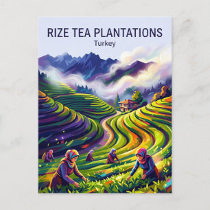 Rize Tea Plantations Turkey Postcard
