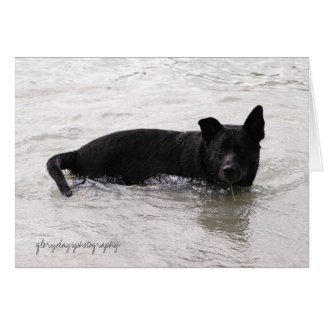 Rizzo enjoying the Lake