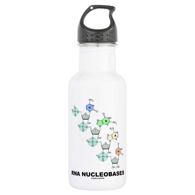 RNA Nucleobases (Biochemistry) 532 Ml Water Bottle (Front)