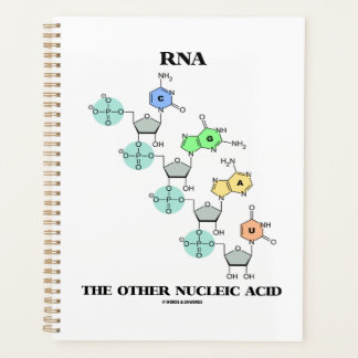 RNA The Other Nucleic Acid Chemical Structure Planner