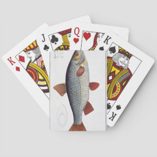 Roach (Cyprinus Rutilis) plate II from 'Ichthyolog Playing Cards