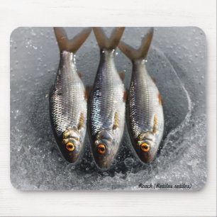 Roach Mouse Mat