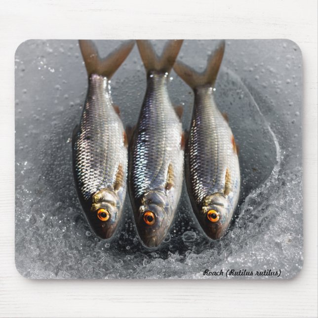 Roach Mouse Mat (Front)