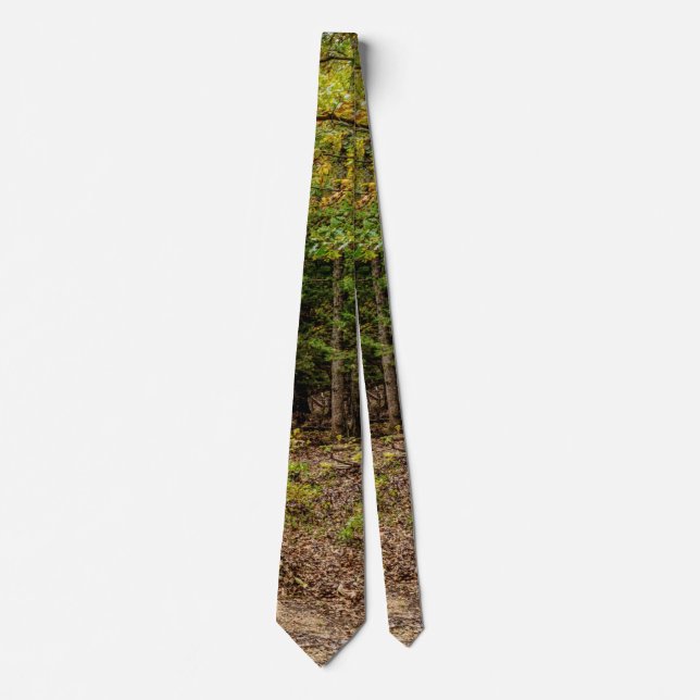 Road At Seasons Change Neck Tie (Front)
