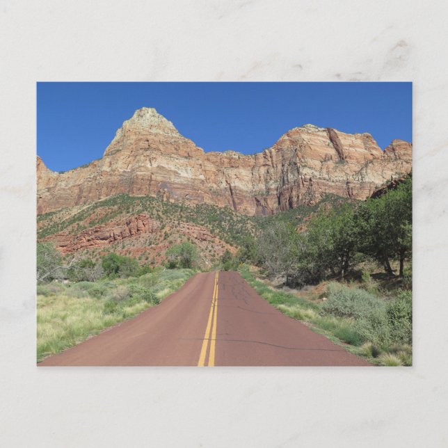 Road at Zion National Park USA Postcard (Front)