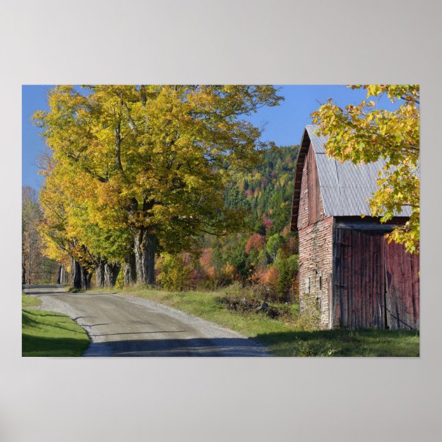 Road beside classic rural barn/farm in autumn, 2 poster (Front)