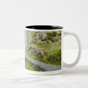 Road between Ballaghacahreen and Caherkeen. Two-Tone Coffee Mug