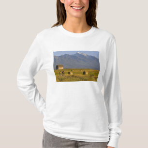 Road bicyclists race down back country road in T-Shirt