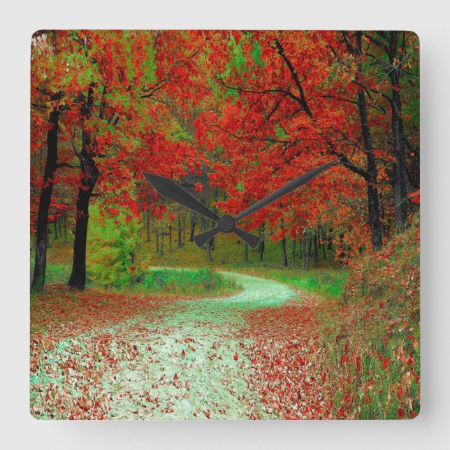 ROAD FOREST TREES BOTANICAL NATURE LANDSCAPE  SQUARE WALL CLOCK (Front)