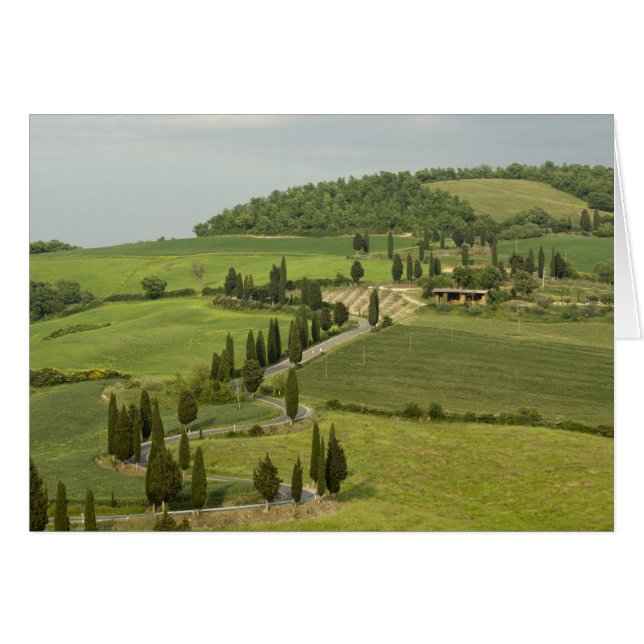 Road from Pienza to Montepulciano, (Front Horizontal)