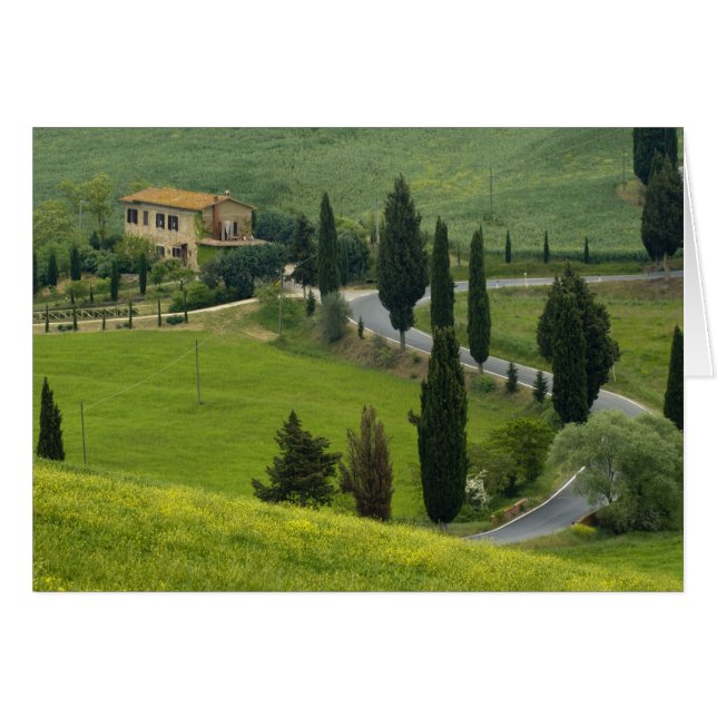 Road from Pienza to Montepulciano, 2 (Front Horizontal)