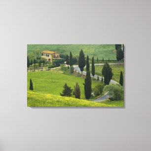 Road from Pienza to Montepulciano, 2 Canvas Print
