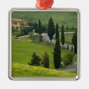 Road from Pienza to Montepulciano, 2 Metal Tree Decoration