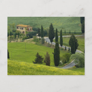 Road from Pienza to Montepulciano, 2 Postcard