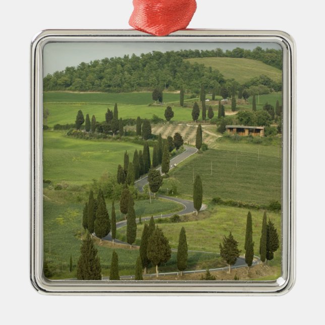 Road from Pienza to Montepulciano, Metal Tree Decoration (Front)