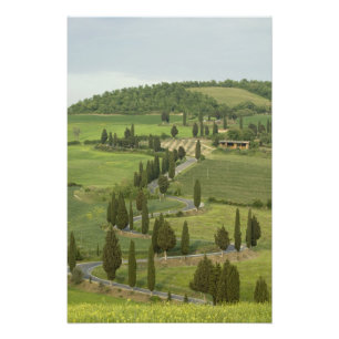 Road from Pienza to Montepulciano, Photo Print