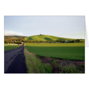 Road home