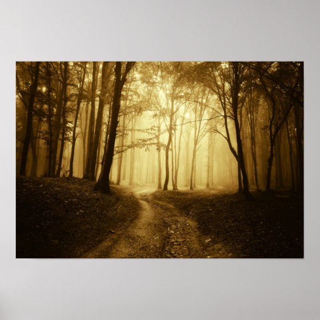 Road in a dark forest with fog poster (Front)