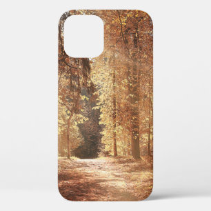 Road in the autumn forestroad,adventure,foliage,la iPhone 12 case
