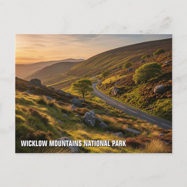 Road in Wicklow Mountains National Park Ireland Postcard (Front)