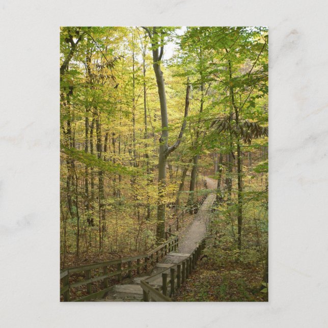 Road Less Travelled Postcard (Front)
