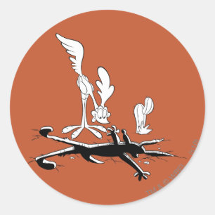 ROAD RUNNER™ and WILE E. COYOTE™ Shaped Hole Classic Round Sticker