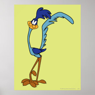ROAD RUNNER™ Colour Poster