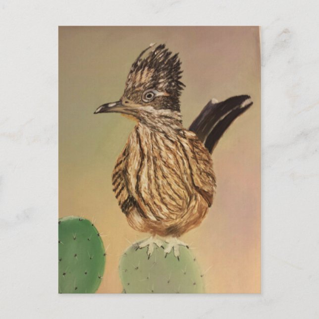 Road Runner Postcard (Front)