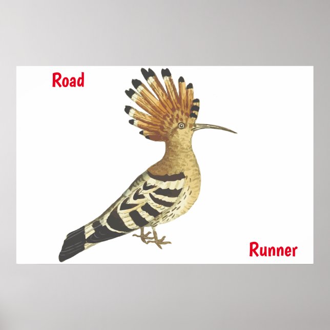 road Runner Poster (Front)