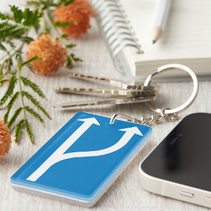 Road Sign Arrows Keychain